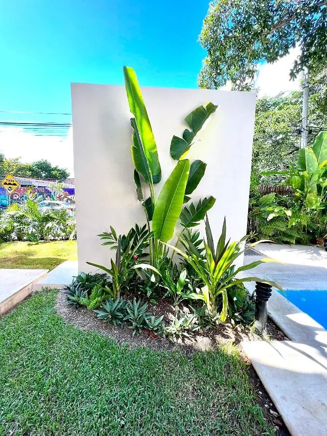 Departamento En El Corazon De Playa Del Carmen Apartment